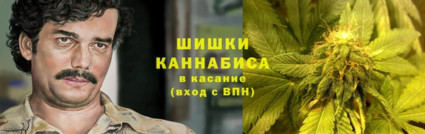 сатива Семилуки