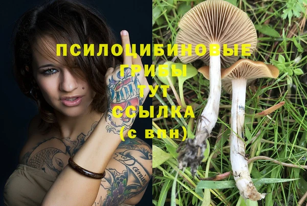наркотики Алексин