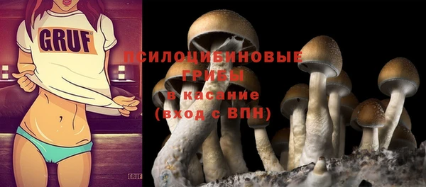 наркотики Алексин